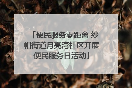 便民服务零距离 纱帽街道月亮湾社区开展便民服务日活动