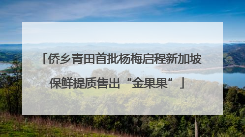 侨乡青田首批杨梅启程新加坡 保鲜提质售出“金果果”