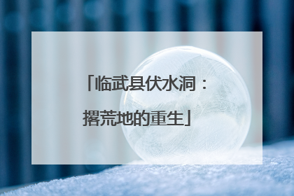 临武县伏水洞：撂荒地的重生