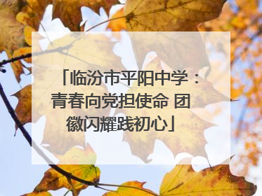 临汾市平阳中学：青春向党担使命 团徽闪耀践初心