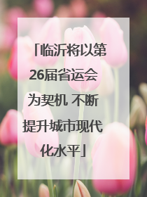 临沂将以第26届省运会为契机 不断提升城市现代化水平