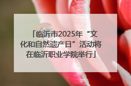 临沂市2025年“文化和自然遗产日”活动将在临沂职业学院举行