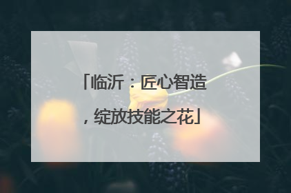 临沂：匠心智造，绽放技能之花
