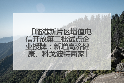 临港新片区增值电信开放第二批试点企业授牌：新增高济健康、科戈波特两家