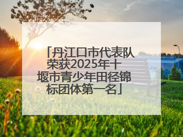 丹江口市代表队荣获2025年十堰市青少年田径锦标团体第一名
