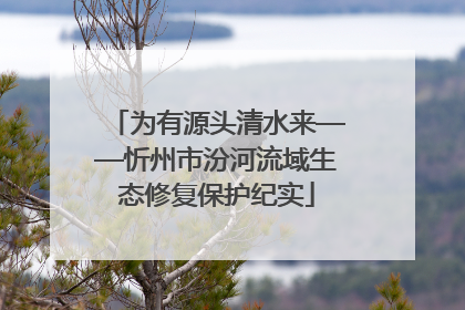 为有源头清水来——忻州市汾河流域生态修复保护纪实