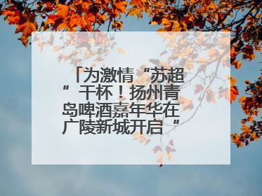 为激情“苏超”干杯！扬州青岛啤酒嘉年华在广陵新城开启“足球之夜”