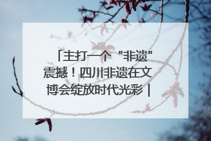 主打一个“非遗”震撼！四川非遗在文博会绽放时代光彩｜文博向“新”