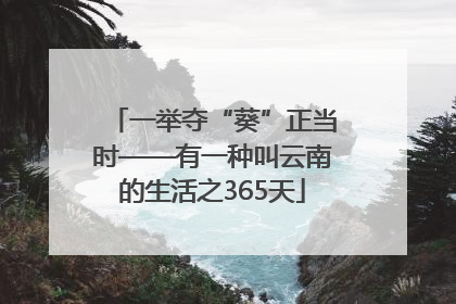一举夺“葵”正当时——有一种叫云南的生活之365天