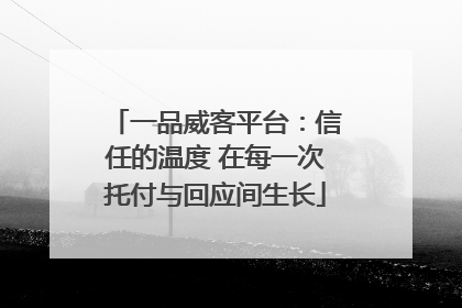 一品威客平台：信任的温度 在每一次托付与回应间生长