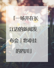 一场开在长江边的新闻发布会｜您牵挂的四川