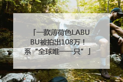 一款薄荷色LABUBU被拍出108万！系“全球唯一一只”