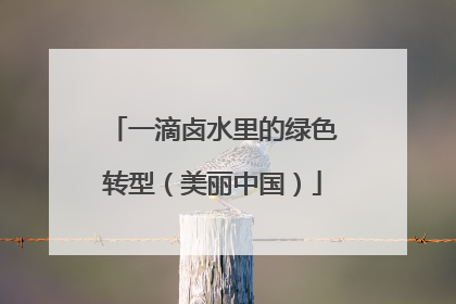 一滴卤水里的绿色转型（美丽中国）