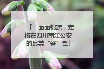 一面面锦旗，定格在四川南江公安的最美“警”色
