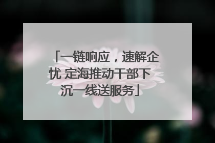 一链响应，速解企忧 定海推动干部下沉一线送服务
