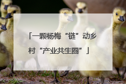 一颗杨梅“链”动乡村“产业共生圈”