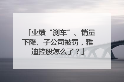 业绩“刹车”、销量下降、子公司被罚，雅迪控股怎么了？