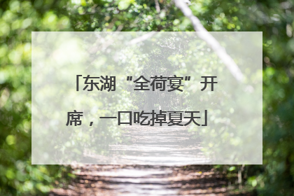东湖“全荷宴”开席，一口吃掉夏天