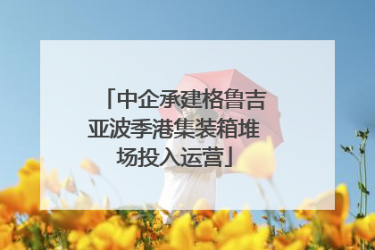 中企承建格鲁吉亚波季港集装箱堆场投入运营