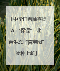 中华白海豚喜提AI“保镖” 北京生态“藏宝图”物种上新