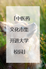 中医药文化市集开进大学校园