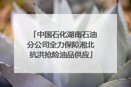 中国石化湖南石油分公司全力保障湘北抗洪抢险油品供应