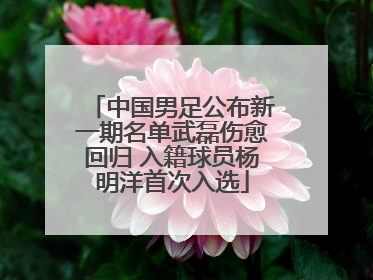 中国男足公布新一期名单武磊伤愈回归 入籍球员杨明洋首次入选