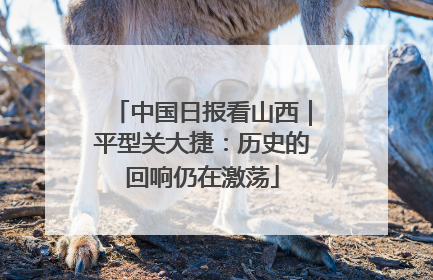 中国日报看山西｜平型关大捷：历史的回响仍在激荡