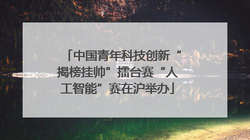 中国青年科技创新“揭榜挂帅”擂台赛“人工智能”赛在沪举办