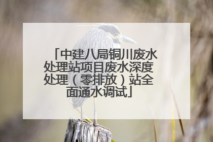 中建八局铜川废水处理站项目废水深度处理（零排放）站全面通水调试