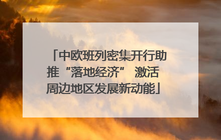中欧班列密集开行助推“落地经济” 激活周边地区发展新动能