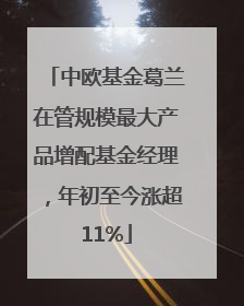 中欧基金葛兰在管规模最大产品增配基金经理，年初至今涨超11%
