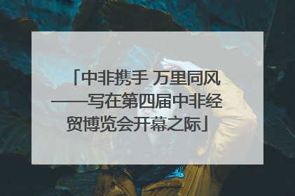 中非携手 万里同风——写在第四届中非经贸博览会开幕之际