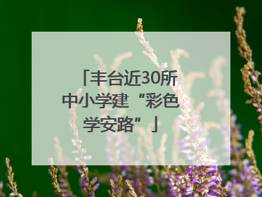 丰台近30所中小学建“彩色学安路”