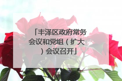 丰泽区政府常务会议和党组（扩大）会议召开