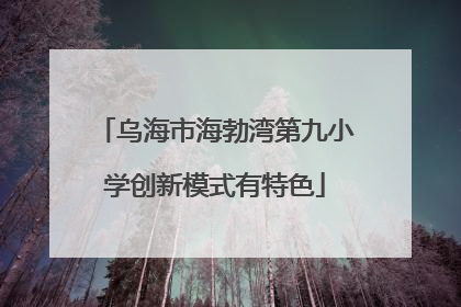 乌海市海勃湾第九小学创新模式有特色