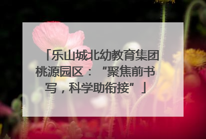 乐山城北幼教育集团桃源园区：“聚焦前书写，科学助衔接”