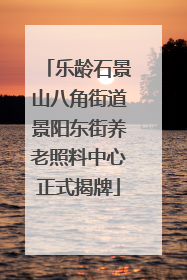 乐龄石景山八角街道景阳东街养老照料中心正式揭牌
