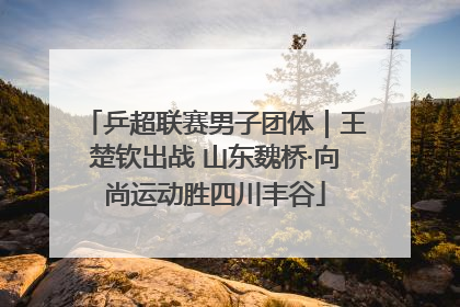 乒超联赛男子团体｜王楚钦出战 山东魏桥·向尚运动胜四川丰谷