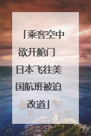 乘客空中欲开舱门 日本飞往美国航班被迫改道