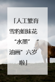 人工繁育雪豹姐妹花“水墨”“油画”六岁啦
