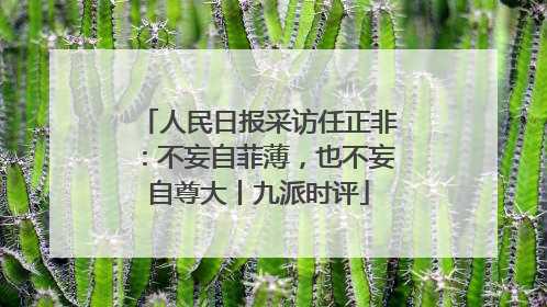 人民日报采访任正非：不妄自菲薄，也不妄自尊大丨九派时评