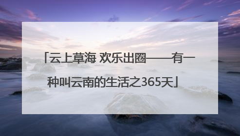 云上草海 欢乐出圈——有一种叫云南的生活之365天