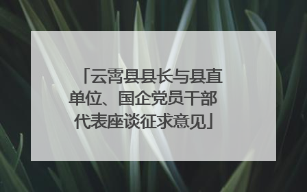 云霄县县长与县直单位、国企党员干部代表座谈征求意见