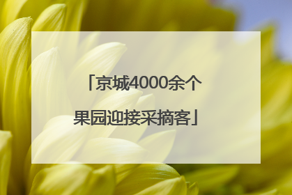 京城4000余个果园迎接采摘客