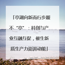 亭湖向新而行步履不“亭”：科创与产业互融互促，催生新质生产力澎湃动能