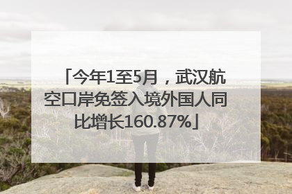 今年1至5月，武汉航空口岸免签入境外国人同比增长160.87%