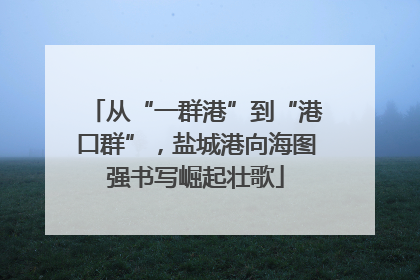从“一群港”到“港口群”，盐城港向海图强书写崛起壮歌