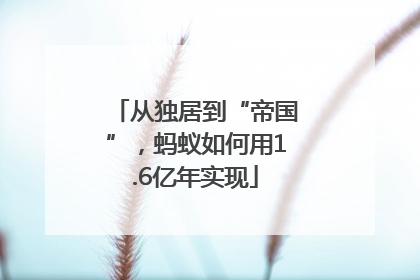 从独居到“帝国”，蚂蚁如何用1.6亿年实现