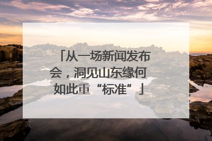 从一场新闻发布会，洞见山东缘何如此重“标准”